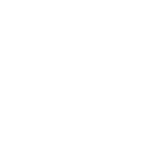 The Living In Wellness logo - a yinyang symbol in the middle of 6 concentric circles with breaks a specific points.